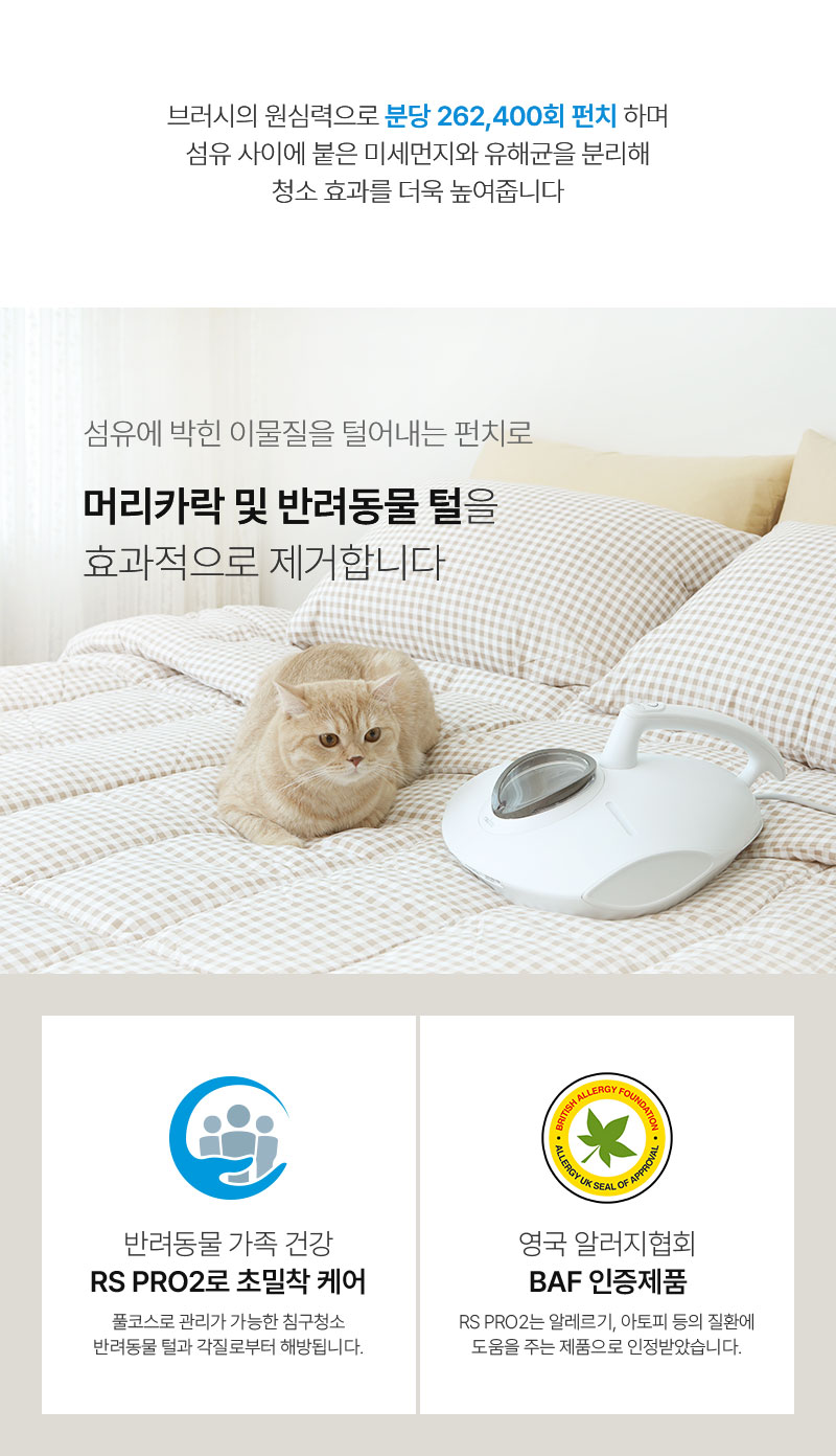 레이캅코리아 - 건강가전기업